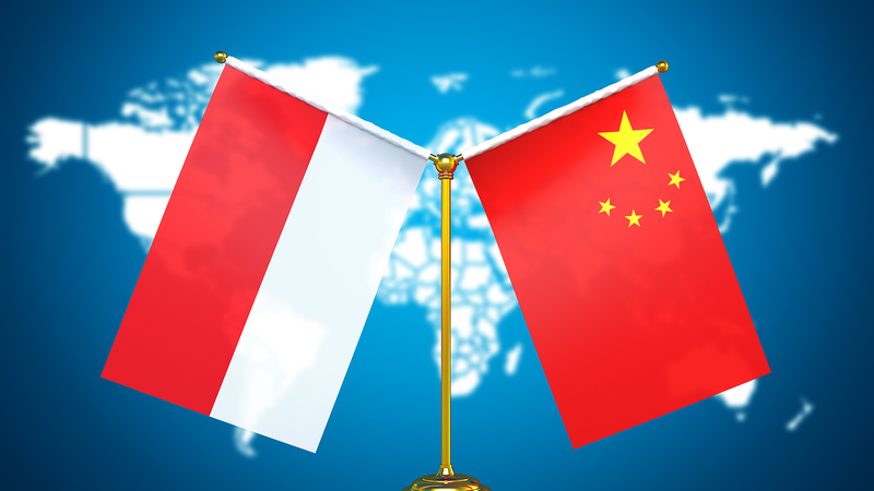 China_e_Indonesia_fortalecen_lazos_en_Tianjin_antes_de_la_Cumbre_SCO