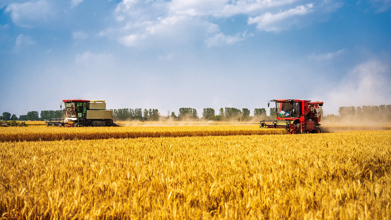 El continente chino mantiene la línea roja de protección de tierras agrícolas