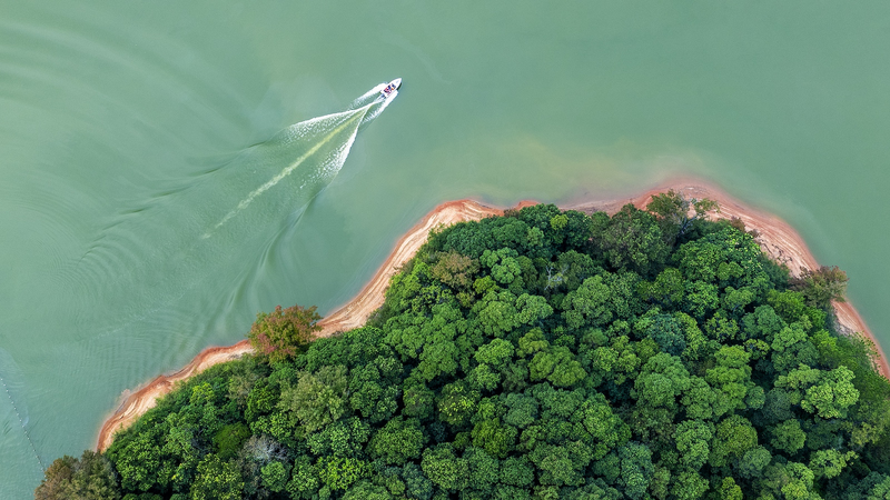 China Avanza en el Borrador del Código Ambiental en Sesión del PCN