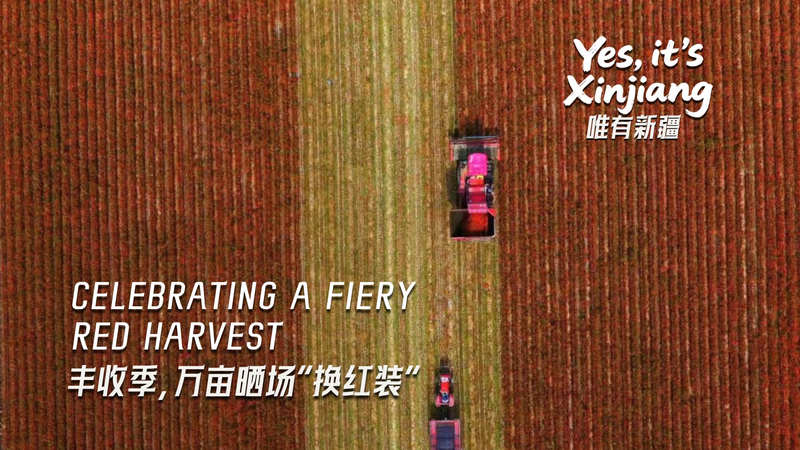 Cosecha Roja Ardiente de Xinjiang: 8° Festival de los Agricultores video poster