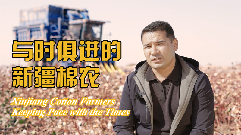 Los agricultores de algodón de Xinjiang innovan para la prosperidad video poster