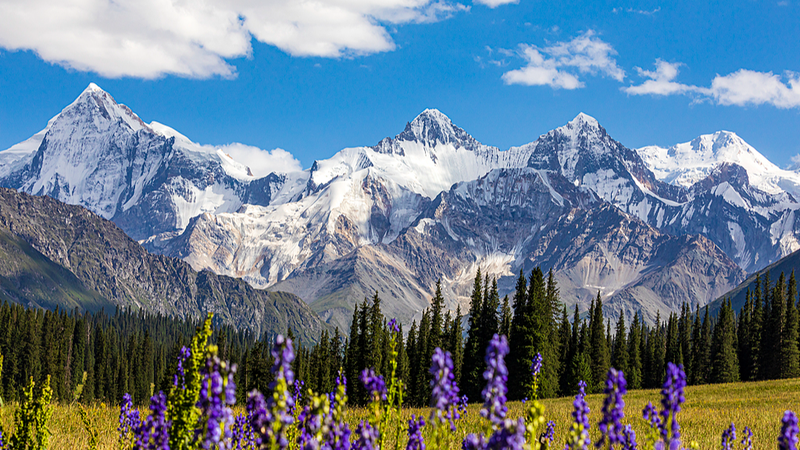 Captura Xinjiang: Concurso Global de Fotografía Abierto para Inscripciones