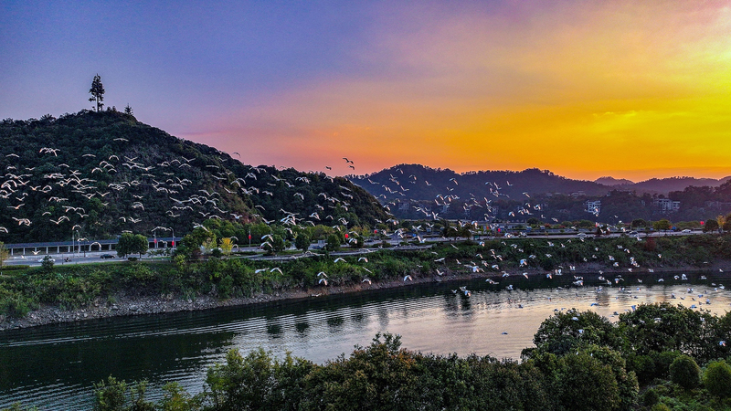 Hangzhou será sede del 5.º Congreso Mundial de Reservas de Biosfera de la UNESCO video poster