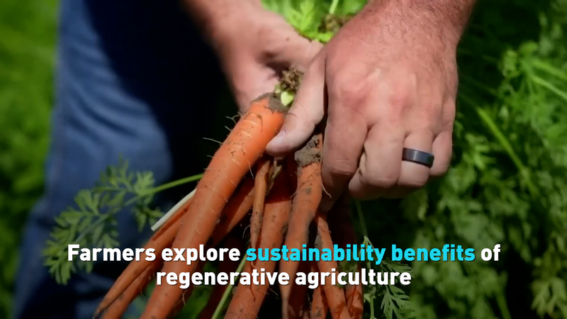 Los agricultores de California adoptan la agricultura regenerativa para la resiliencia climática video poster