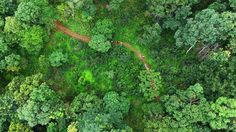 La Selva Tropical de Jingmai: Sabiduría Antigua Blang para una Verdadera Sostenibilidad video poster