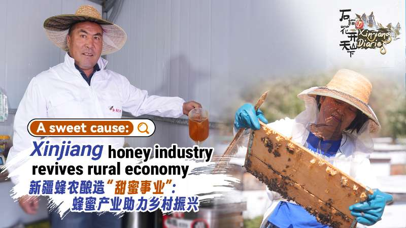 Renacer Dulce: Industria de Miel en Xinjiang Impulsa Economía Rural video poster