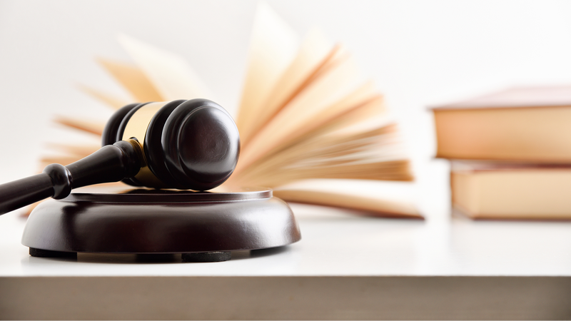 El presidente Xi firma leyes históricas sobre salud pública, parques y arbitraje