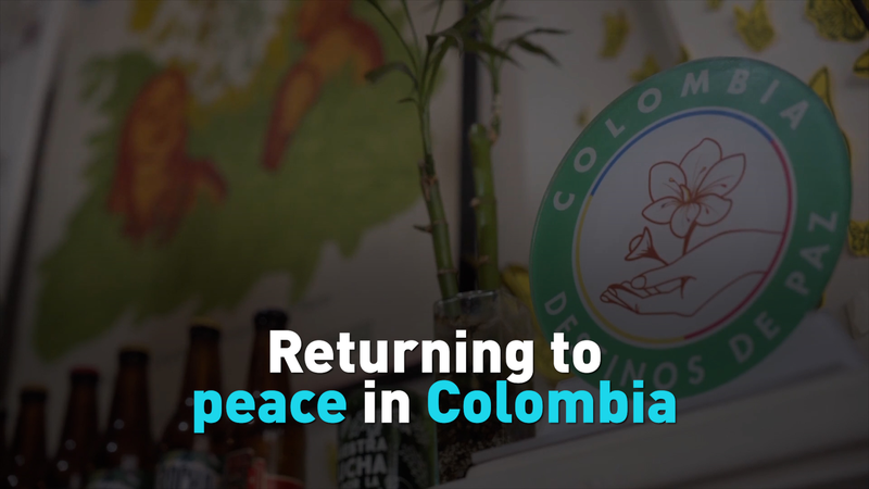 Excombatientes de las FARC elaboran esperanza en la Casa de la Paz de Bogotá video poster