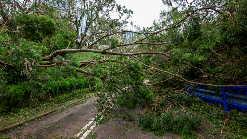 El tifón Ragasa trae fuertes lluvias al sur de China video poster