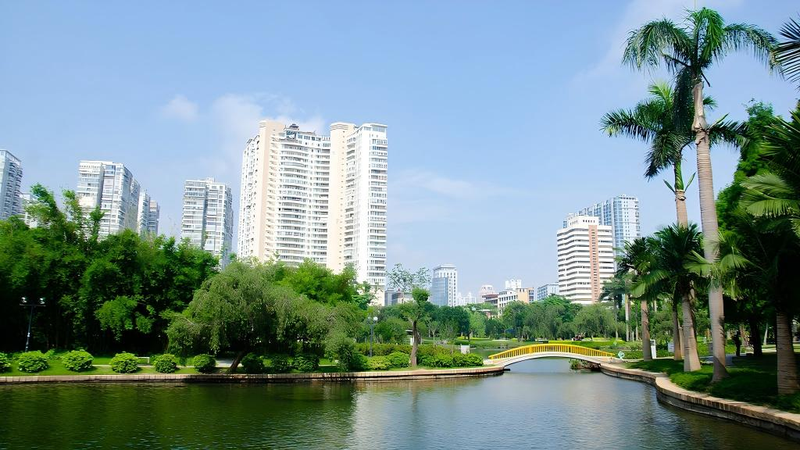 Vida relajada en el Parque Nanhu: el pulmón verde de Xiamen video poster