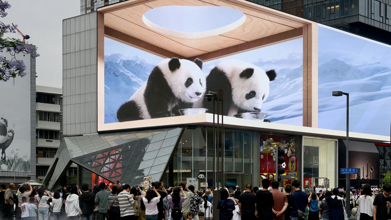 El auge económico de Sichuan impulsa un nuevo estilo de vida urbano acogedor video poster