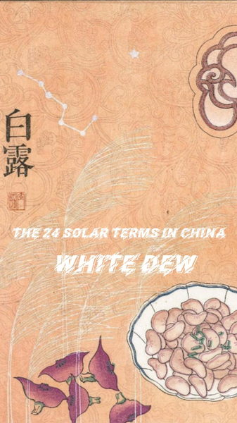 Descubre la magia del Rocío Blanco: el suave despertar del otoño video poster