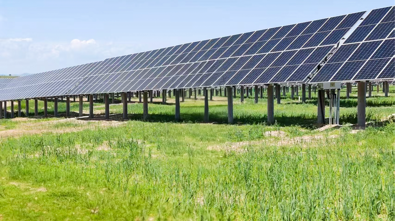 De un desierto arenoso a un valle verde: la renovación impulsada por energía solar de Mongolia Interior