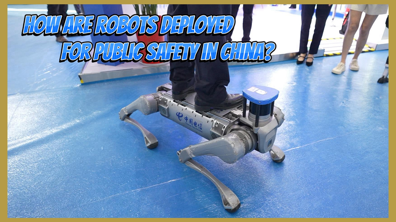 Robots en Patrulla: La Tecnología de Seguridad Pública Brilla en la Expo de Lianyungang video poster
