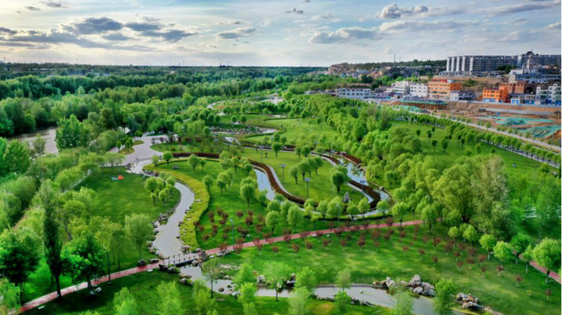 Los Concretos Objetivos Climáticos de China Energizan la Agenda Verde Global