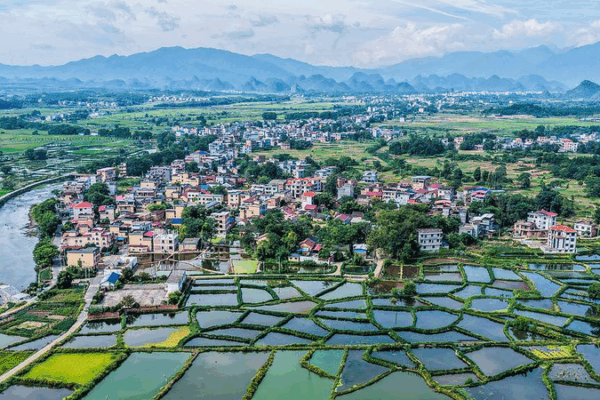 El territorio continental chino lanza la red de monitoreo ecológico más grande del mundo