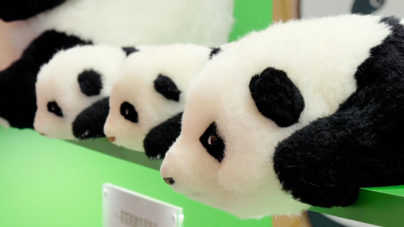 Expo de Juguetes en Shanghái: Disney, Pokémon y Más Impulsan el Auge de Licencias de IP video poster