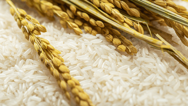 La tecnología china potencia la cosecha de arroz en Chad