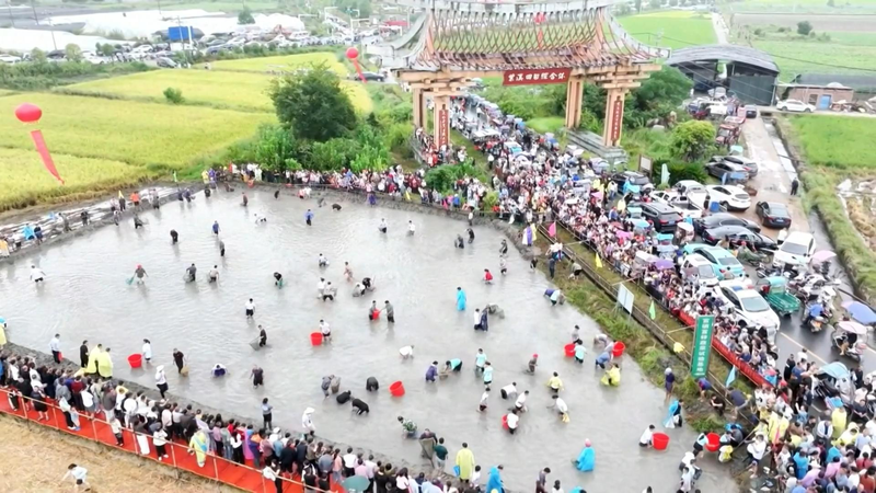 Diversión de Cosecha Dorada: Actividades Rurales en el Pueblo Yinhe para las Vacaciones del Día Nacional video poster