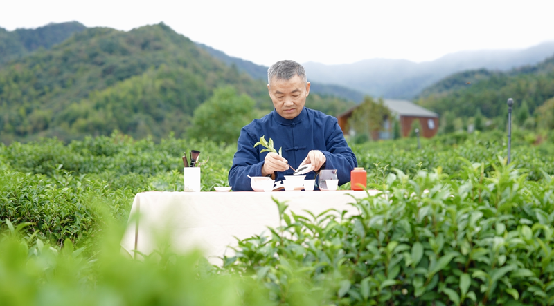 Té Negro Keemun: tradición y aroma en cada sorbo