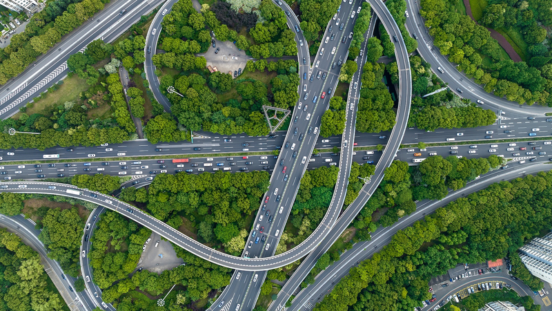 Los humanos se mueven 40 veces más que los animales salvajes combinados