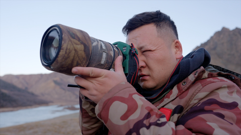 Los leopardos de las nieves regresan a Xinjiang XUAR: Un éxito de conservación video poster