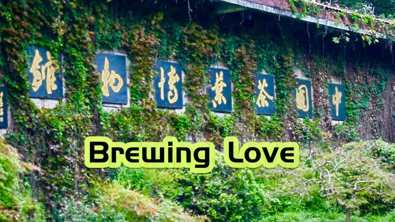 Funcionarios de EE.UU. exploran la cultura del té en el Museo Nacional del Té video poster