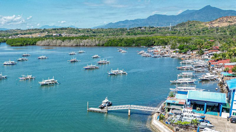 Filipinas reanudará el servicio de visas electrónicas para ciudadanos del territorio continental de China en noviembre