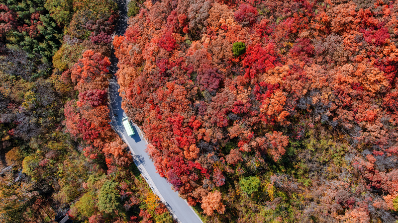 La magia de otoño de Jinan en el Cañón de Hojas Rojas