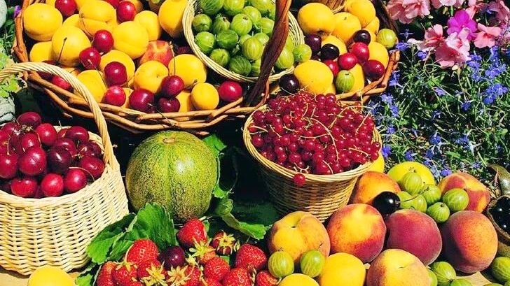 El Puerto de Libre Comercio de Hainan impulsa exportaciones agrícolas tropicales 🌴🚀