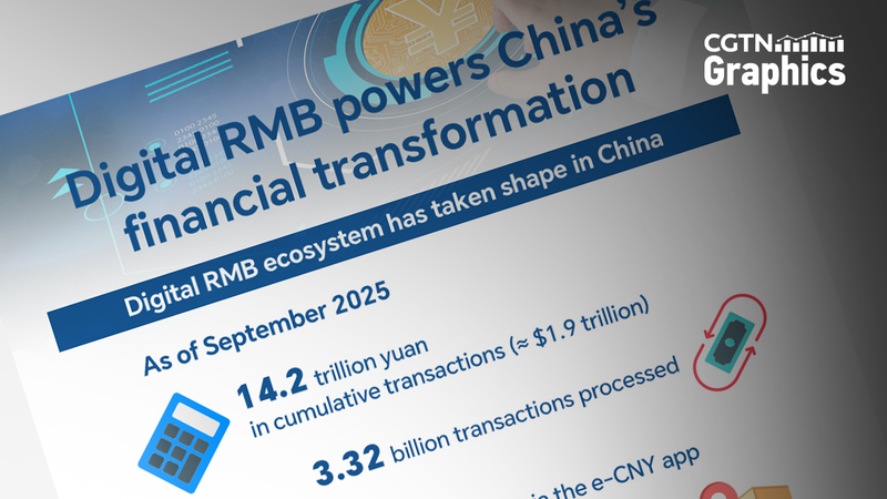 Cómo el RMB Digital Impulsa la Revolución Financiera de China Continental