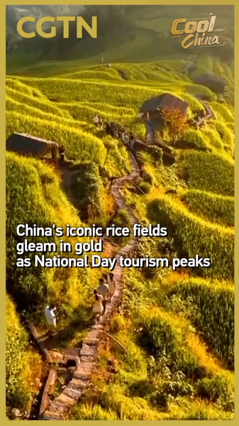 Las terrazas doradas de arroz de China brillan mientras el turismo del Día Nacional alcanza su pico video poster