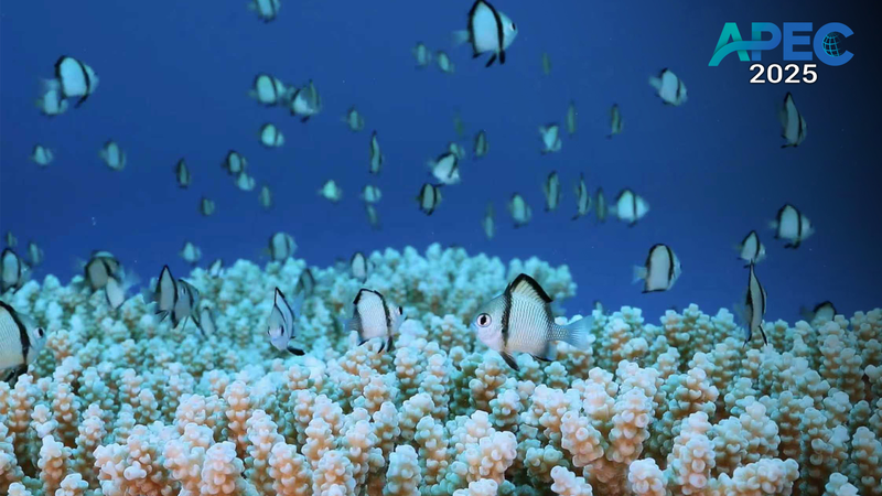 APEC 2025: Asociaciones Ecológicas Asia-Pacífico para un Mañana Sostenible