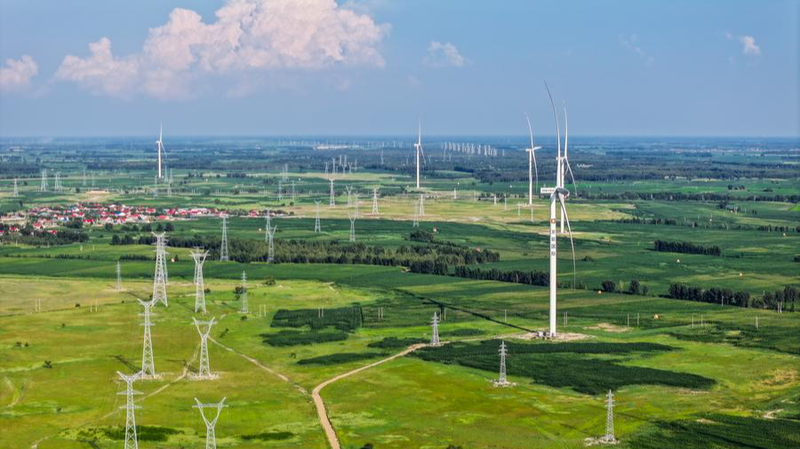 Asia-Pacífico se une por un futuro verde en APEC 2025 🌱