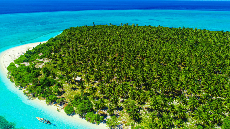Parque Nacional Wakatobi: El paraíso submarino de Indonesia