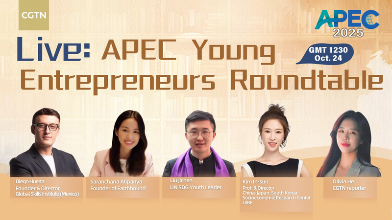 Mesa redonda de jóvenes emprendedores de APEC impulsa la innovación trans-Pacífica video poster