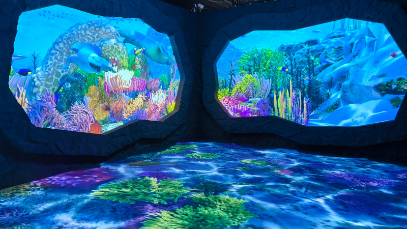 Exposición 'Conoce el Océano' en Pekín: Sumérgete en una Maravilla Marina Digital video poster