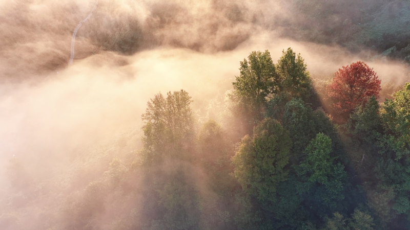 Condado de Jingde: El paraíso ecológico de China oriental 🌿 video poster