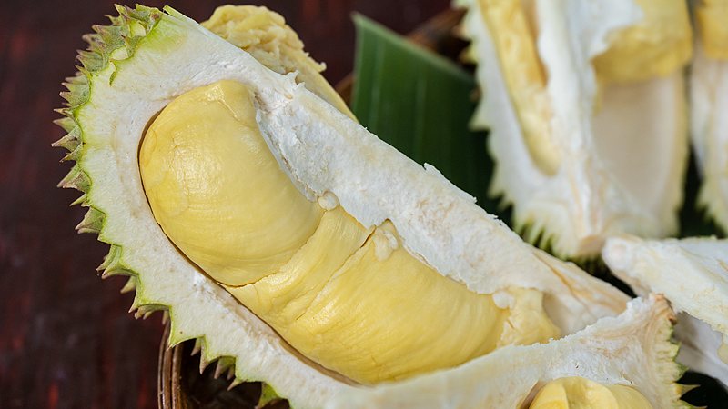 El durián de Tailandia se vuelve digital: huertos inteligentes impulsan exportaciones récord