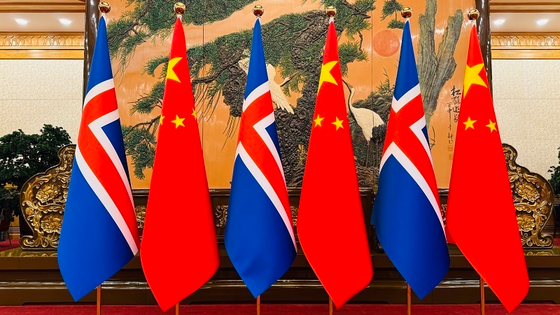 Xi Jinping se reúne con la presidenta de Islandia antes de la cumbre de mujeres en Beijing
