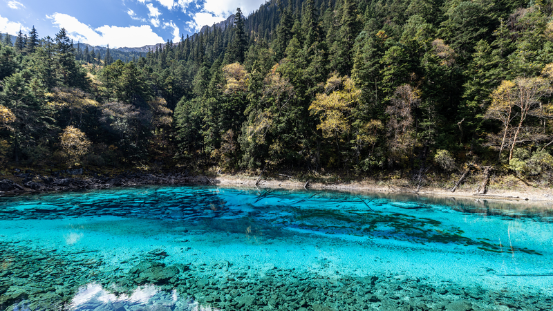 Encantador_Lago_de_Cinco_Colores_a_3_000m_en_Jiuzhaigou video poster