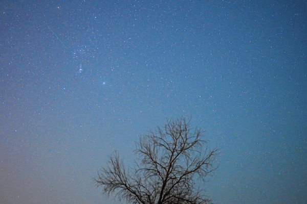 Lluvia de Meteoros de las Oriónidas Ilumina los Cielos de Otoño