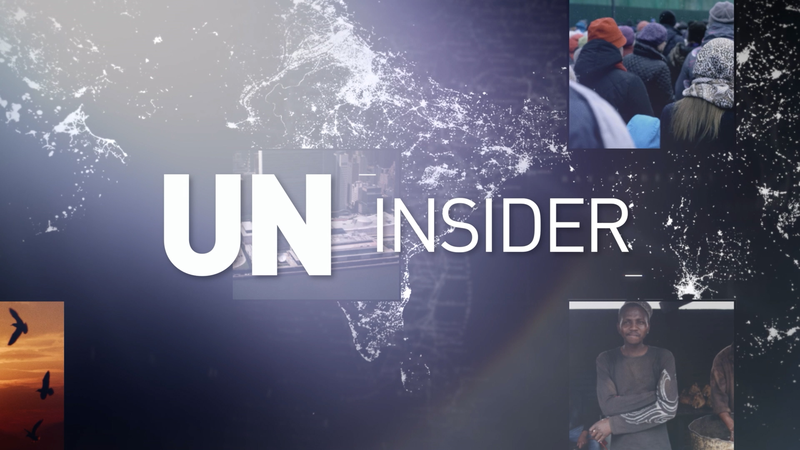 Panel de la ONU Revela Informe sobre Palestina y Votación del Embargo a Cuba