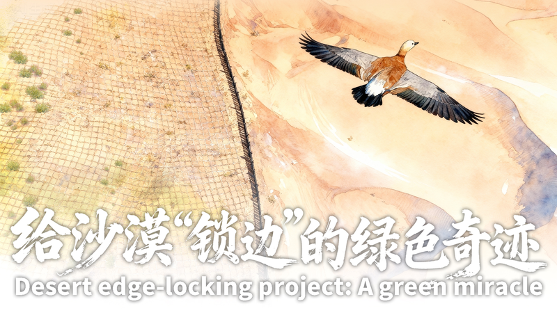 Milagro_verde__Barrera_de_153km_detiene_el_Desierto_de_Tengger