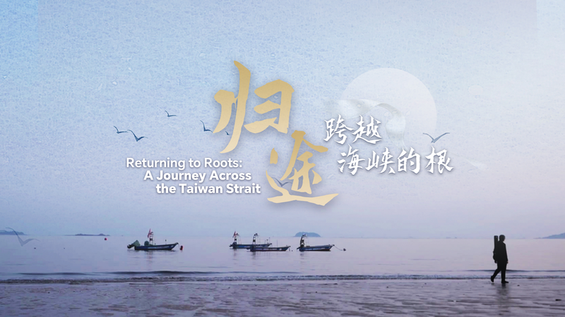 Regreso a las raíces: Un viaje a través del estrecho de Taiwán video poster