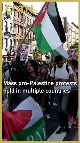 Protestas globales a favor de Palestina se encienden en varios países 🌍✊ video poster