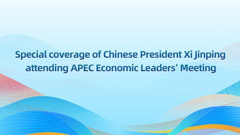 Xi Jinping asiste a la 32ª reunión de líderes de APEC en Gyeongju video poster