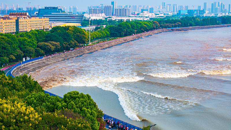 Picos de la marea boreal del río Qiantang: un espectacular oleaje plateado video poster