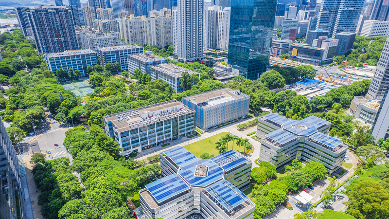 China presenta hoja de ruta hacia 2030: crecimiento de alta calidad y vínculos con África