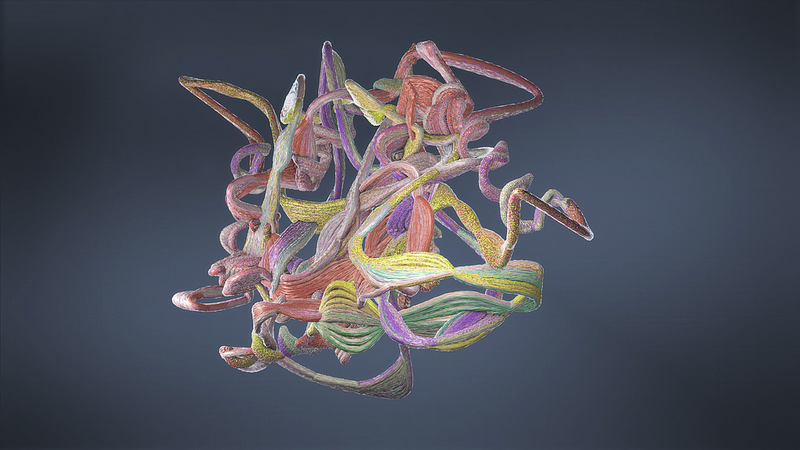 Modelo de proteínas de IA descifra la evolución convergente en murciélagos y ballenas